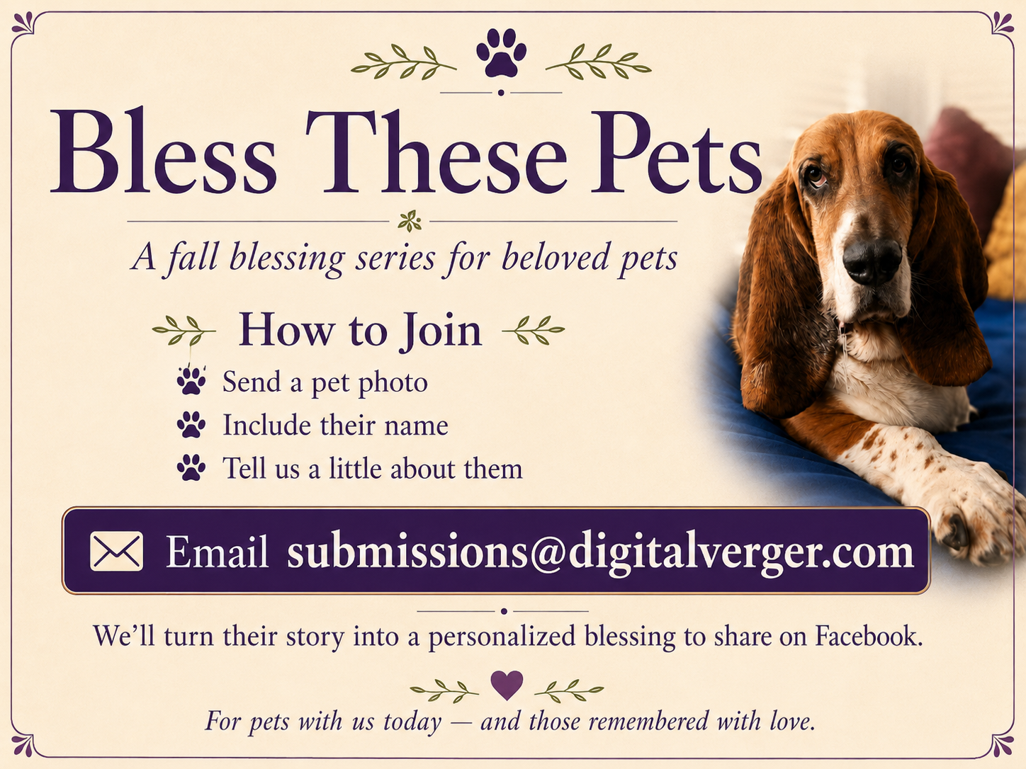 Bless These Pets instructions explaining how to submit a photo, pet name, and details